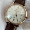IWCコピー20140604123654文字盤クローズアップ